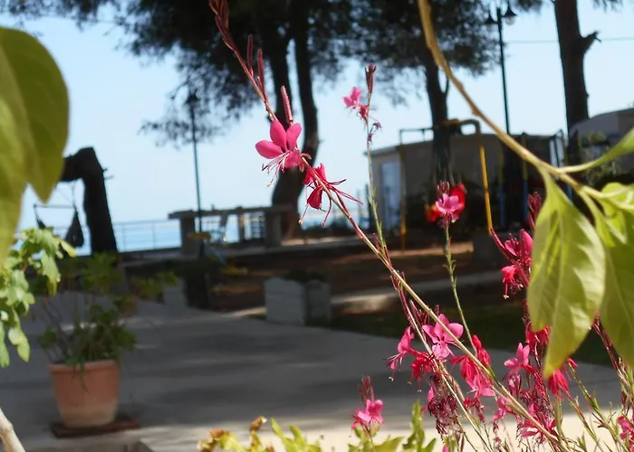 Brunello Seaside *