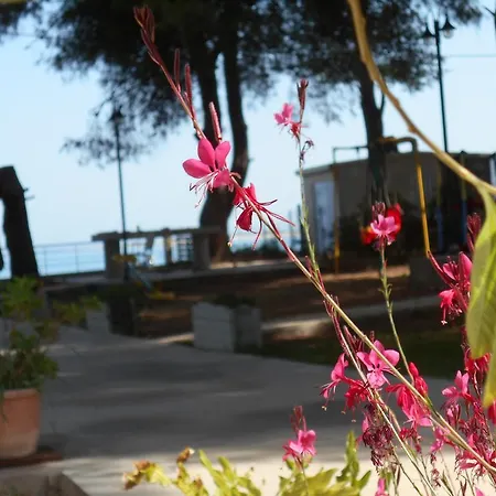 Brunello Seaside *